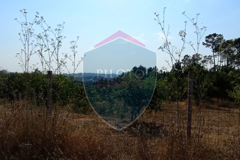 Helårsgrund i Viseu, Viseu, Viseu - € 220.000 | Ref: 2180/V - foto 2