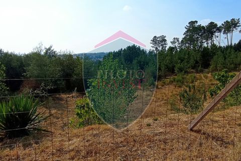Helårsgrund i Viseu, Viseu, Viseu - € 220.000 | Ref: 2180/V - foto 4