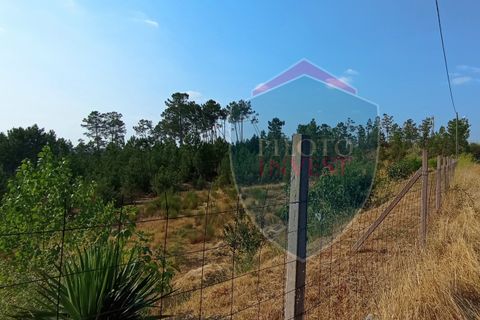 Helårsgrund i Viseu, Viseu, Viseu - € 220.000 | Ref: 2180/V - foto 5