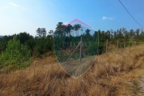 Helårsgrund i Viseu, Viseu, Viseu - € 220.000 | Ref: 2180/V - foto 7