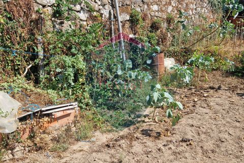 Villa i Castro Daire, Viseu, Castro Daire - € 25.000 | Ref: 2182/V - foto 12