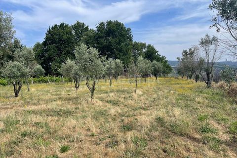 Villa i Penalva do Castelo, Viseu, Penalva do Castelo - € 270.000 | Ref: 389250134 - foto 8