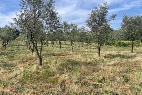 Villa i Penalva do Castelo, Viseu, Penalva do Castelo - € 270.000 | Ref: 389250134 - foto 9