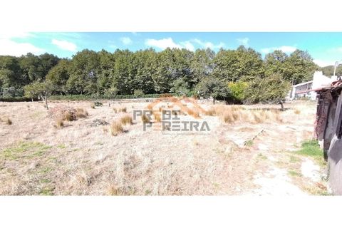 Helårsgrund i Odivelas, Lisbon, Odivelas - € 1.300.000 | Ref: PP5672 - foto 4