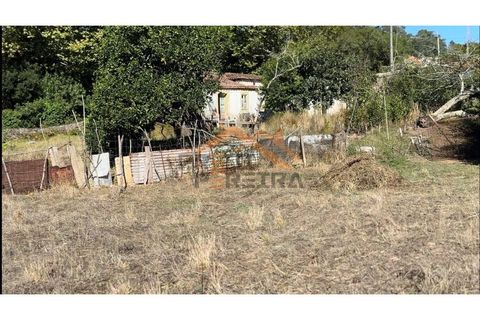 Helårsgrund i Odivelas, Lisbon, Odivelas - € 1.300.000 | Ref: PP5672 - foto 15
