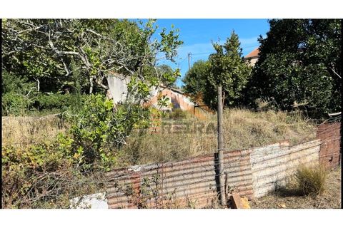 Helårsgrund i Odivelas, Lisbon, Odivelas - € 1.300.000 | Ref: PP5672 - foto 16