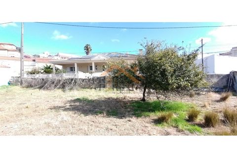 Helårsgrund i Odivelas, Lisbon, Odivelas - € 1.300.000 | Ref: PP5672 - foto 21