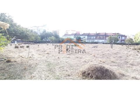 Helårsgrund i Odivelas, Lisbon, Odivelas - € 1.300.000 | Ref: PP5672 - foto 22