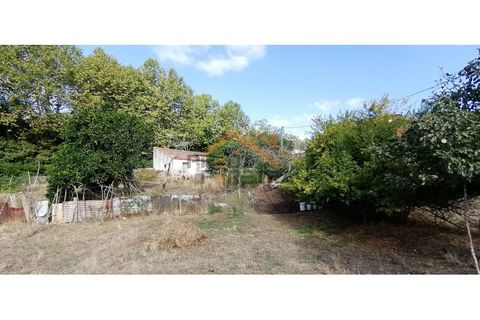 Helårsgrund i Odivelas, Lisbon, Odivelas - € 1.300.000 | Ref: PP5672 - foto 23