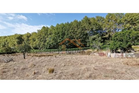 Helårsgrund i Odivelas, Lisbon, Odivelas - € 1.300.000 | Ref: PP5672 - foto 24