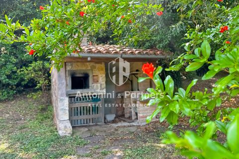 Villa a Todi, Perugia, Todi - € 320.000 | Ref: 28598-1 - foto 4