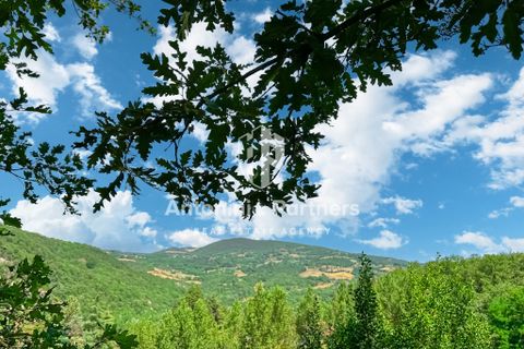 Villa a Todi, Perugia, Todi - € 320.000 | Ref: 28598-1 - foto 23