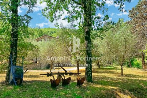 Villa a Todi, Perugia, Todi - € 320.000 | Ref: 28598-1 - foto 26