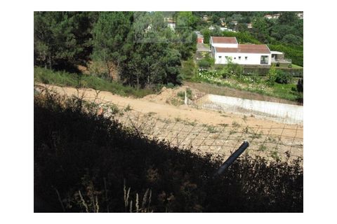 Helårsgrund i Ponte de Lima, Viana do Castelo, Ponte de Lima - € 210.000 | Ref: PAR_1351 - foto 3