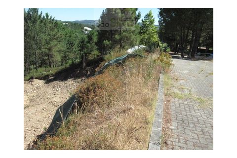 Helårsgrund i Ponte de Lima, Viana do Castelo, Ponte de Lima - € 210.000 | Ref: PAR_1351 - foto 5