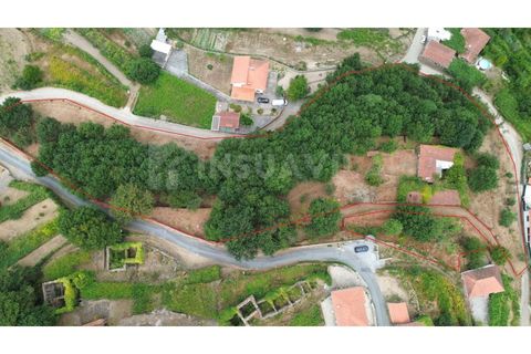 Villa i Viana do Castelo, Viana do Castelo, Viana do Castelo - € 175.000 | Ref: 2695 - foto 2