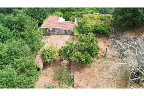 Villa i Viana do Castelo, Viana do Castelo, Viana do Castelo - € 175.000 | Ref: 2695 - foto 4