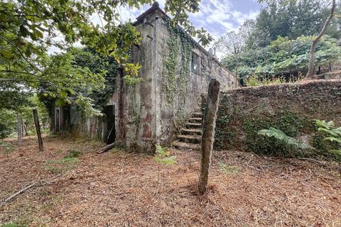 Villa i Viana do Castelo, Viana do Castelo, Viana do Castelo - € 175.000 | Ref: 2695 - foto 6