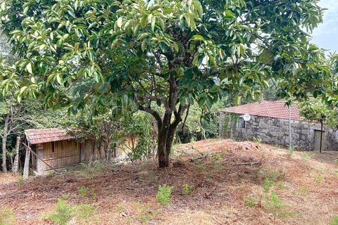 Villa i Viana do Castelo, Viana do Castelo, Viana do Castelo - € 175.000 | Ref: 2695 - foto 7