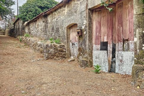 Villa i Viana do Castelo, Viana do Castelo, Viana do Castelo - € 175.000 | Ref: 2695 - foto 9