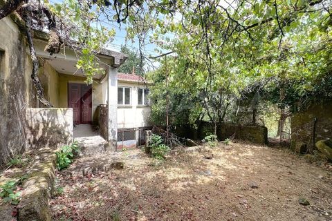Villa i Viana do Castelo, Viana do Castelo, Viana do Castelo - € 175.000 | Ref: 2695 - foto 10