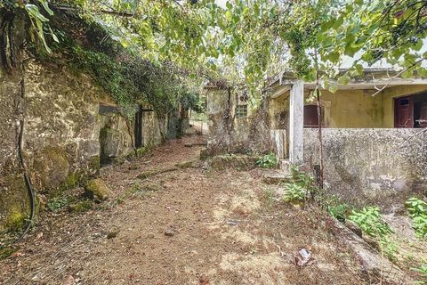 Villa i Viana do Castelo, Viana do Castelo, Viana do Castelo - € 175.000 | Ref: 2695 - foto 11