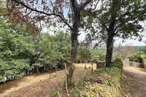 Villa i Viana do Castelo, Viana do Castelo, Viana do Castelo - € 175.000 | Ref: 2695 - foto 13