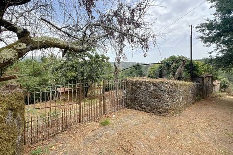 Villa i Viana do Castelo, Viana do Castelo, Viana do Castelo - € 175.000 | Ref: 2695 - foto 14