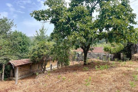 Villa i Viana do Castelo, Viana do Castelo, Viana do Castelo - € 175.000 | Ref: 2695 - foto 15