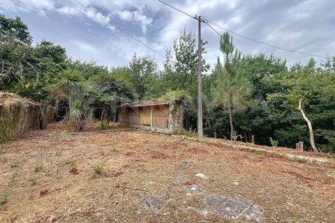Villa i Viana do Castelo, Viana do Castelo, Viana do Castelo - € 175.000 | Ref: 2695 - foto 16