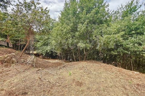 Villa i Viana do Castelo, Viana do Castelo, Viana do Castelo - € 175.000 | Ref: 2695 - foto 17