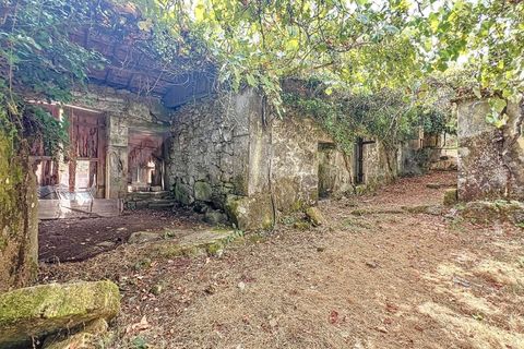 Villa i Viana do Castelo, Viana do Castelo, Viana do Castelo - € 175.000 | Ref: 2695 - foto 19
