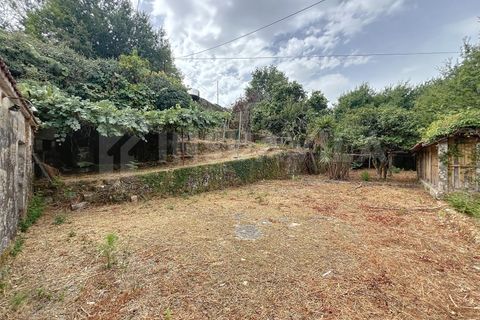 Villa i Viana do Castelo, Viana do Castelo, Viana do Castelo - € 175.000 | Ref: 2695 - foto 20