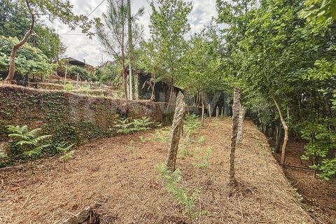 Villa i Viana do Castelo, Viana do Castelo, Viana do Castelo - € 175.000 | Ref: 2695 - foto 21