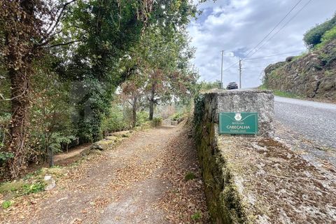 Villa i Viana do Castelo, Viana do Castelo, Viana do Castelo - € 175.000 | Ref: 2695 - foto 23