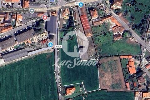 Helårsgrund i Vila do Conde, Porto, Vila do Conde - € 1.500.000 | Ref: 240-T-25873 - foto 12
