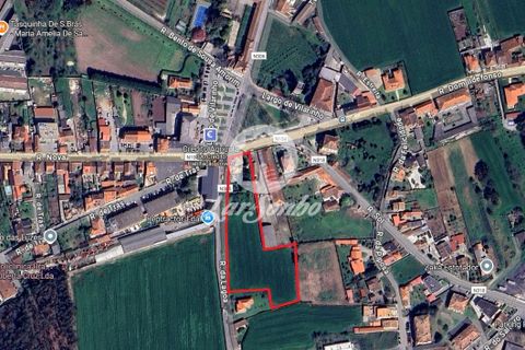 Helårsgrund i Vila do Conde, Porto, Vila do Conde - € 1.500.000 | Ref: 240-T-25873 - foto 13