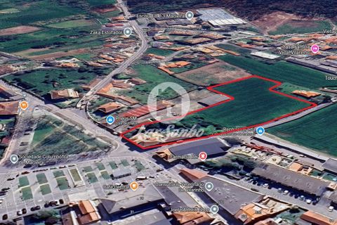 Helårsgrund i Vila do Conde, Porto, Vila do Conde - € 1.500.000 | Ref: 240-T-25873 - foto 14
