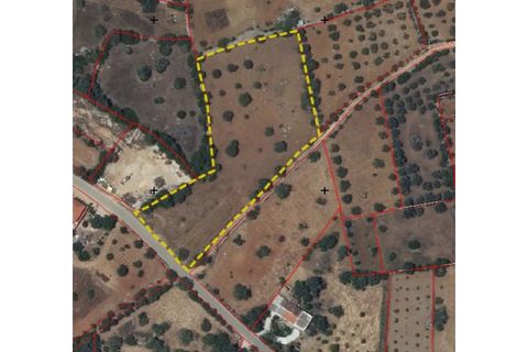 Helårsgrund i Estoi, Faro, Estoi - € 56.500 | Ref: TER_2754_VEND - foto 3