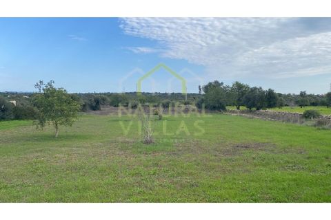 Helårsgrund i Estoi, Faro, Estoi - € 56.500 | Ref: TER_2754_VEND - foto 1