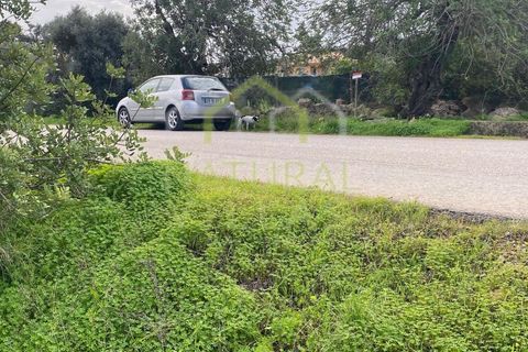 Helårsgrund i Estoi, Faro, Estoi - € 56.500 | Ref: TER_2754_VEND - foto 2