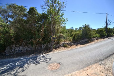 Terra a Paderne, Faro, Paderne - € 49.500 | Ref: P156 - foto 2