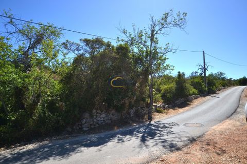 Terra a Paderne, Faro, Paderne - € 49.500 | Ref: P156 - foto 3
