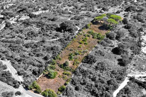 Terra a Paderne, Faro, Paderne - € 49.500 | Ref: P156 - foto 9