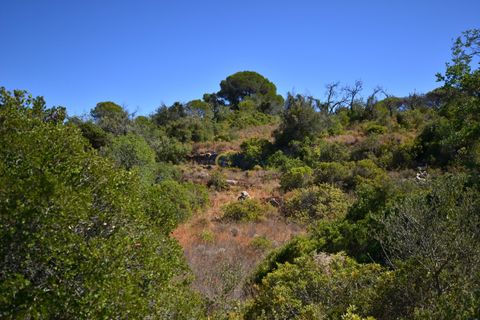 Terra a Paderne, Faro, Paderne - € 49.500 | Ref: P156 - foto 13