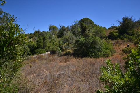 Terra a Paderne, Faro, Paderne - € 49.500 | Ref: P156 - foto 14