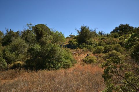 Terra a Paderne, Faro, Paderne - € 49.500 | Ref: P156 - foto 16