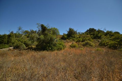 Terra a Paderne, Faro, Paderne - € 49.500 | Ref: P156 - foto 17