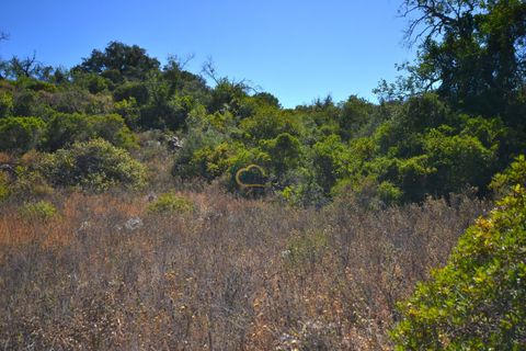 Terra a Paderne, Faro, Paderne - € 49.500 | Ref: P156 - foto 18