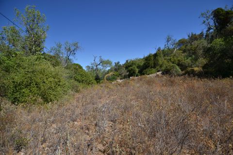 Terra a Paderne, Faro, Paderne - € 49.500 | Ref: P156 - foto 19